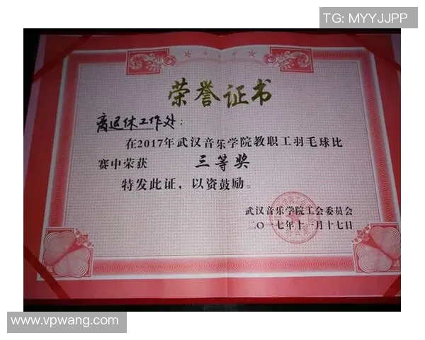 武汉羽毛球队的精神世界与竞技魅力深度解析